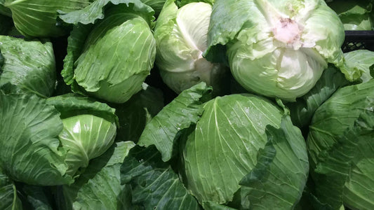 Sour Cabbage Vegetable Seeds for Home Gardens and Fresh Harvests