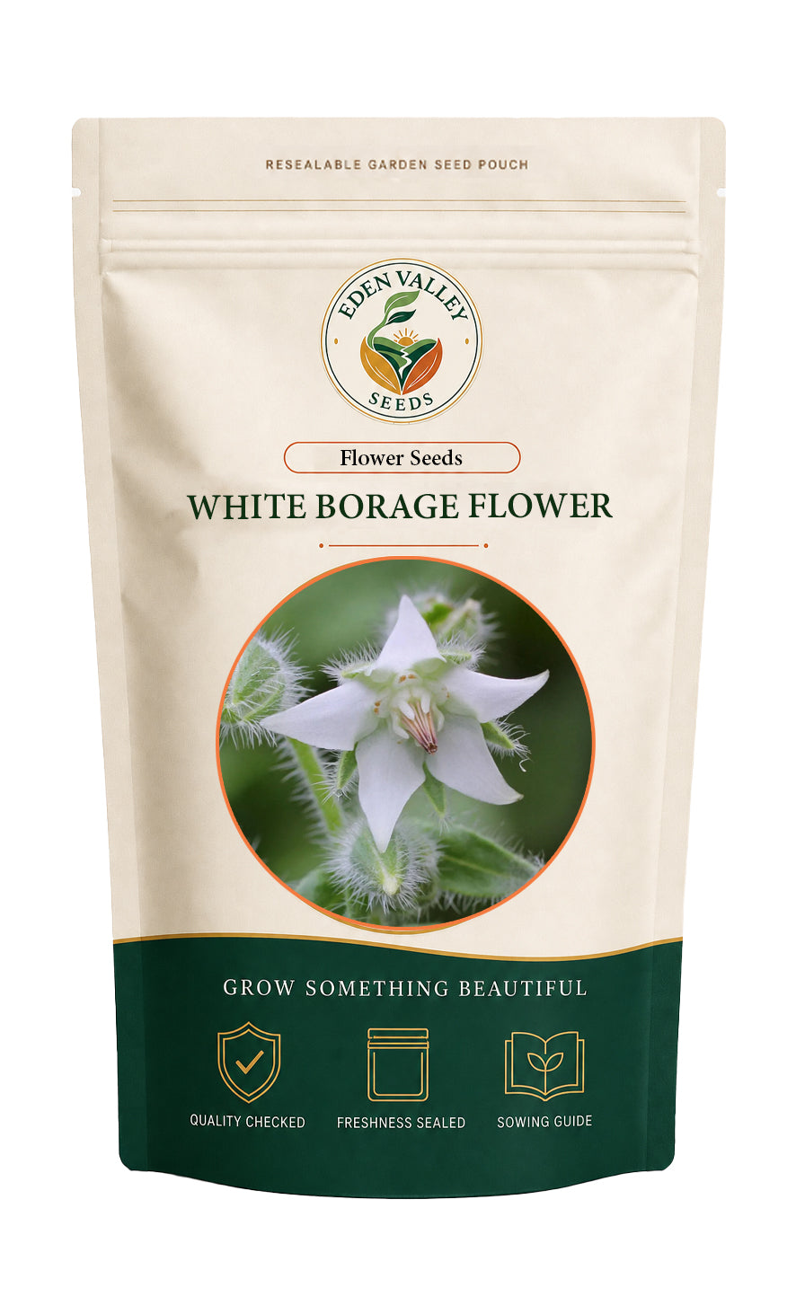 White Borage flowers blooming in a garden