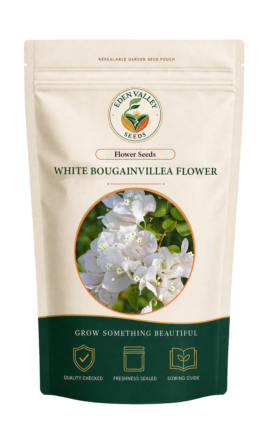 White Bougainvillea Flower Seeds for home gardens