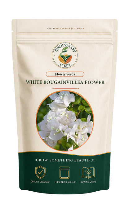 White Bougainvillea Flower Seeds for home gardens
