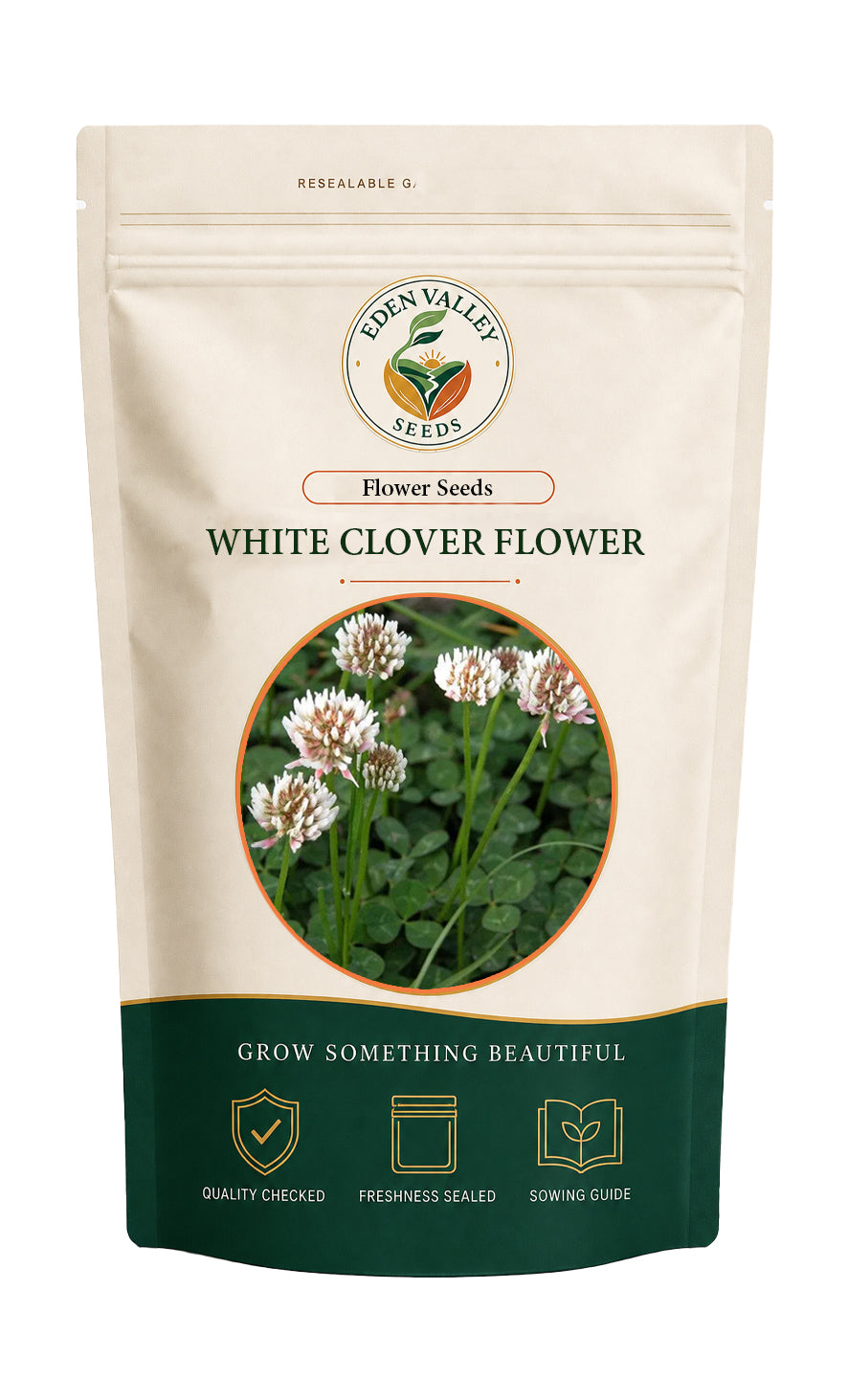 White Clover flowers growing in a garden