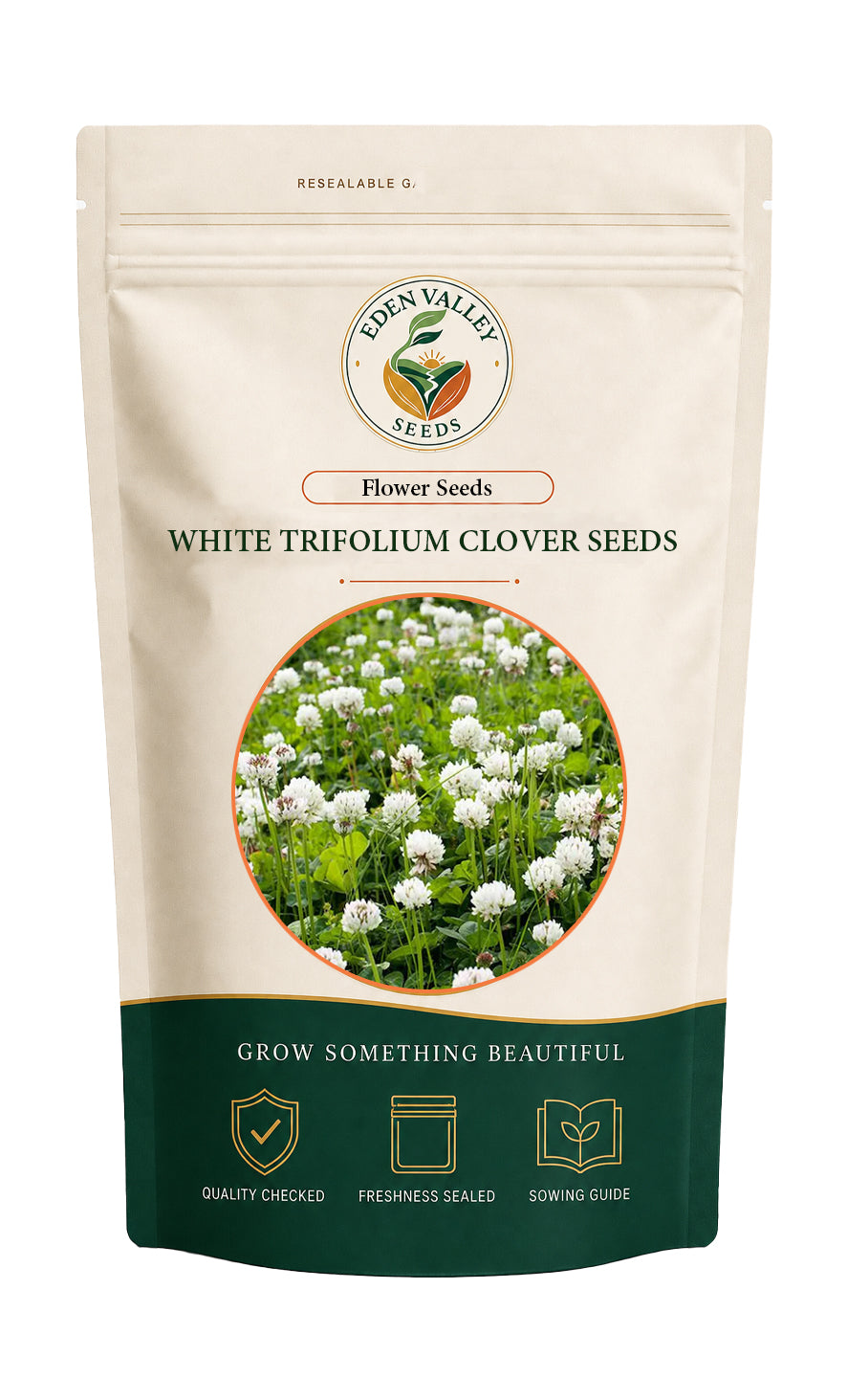 White Trifolium Repens Clover Seeds for planting