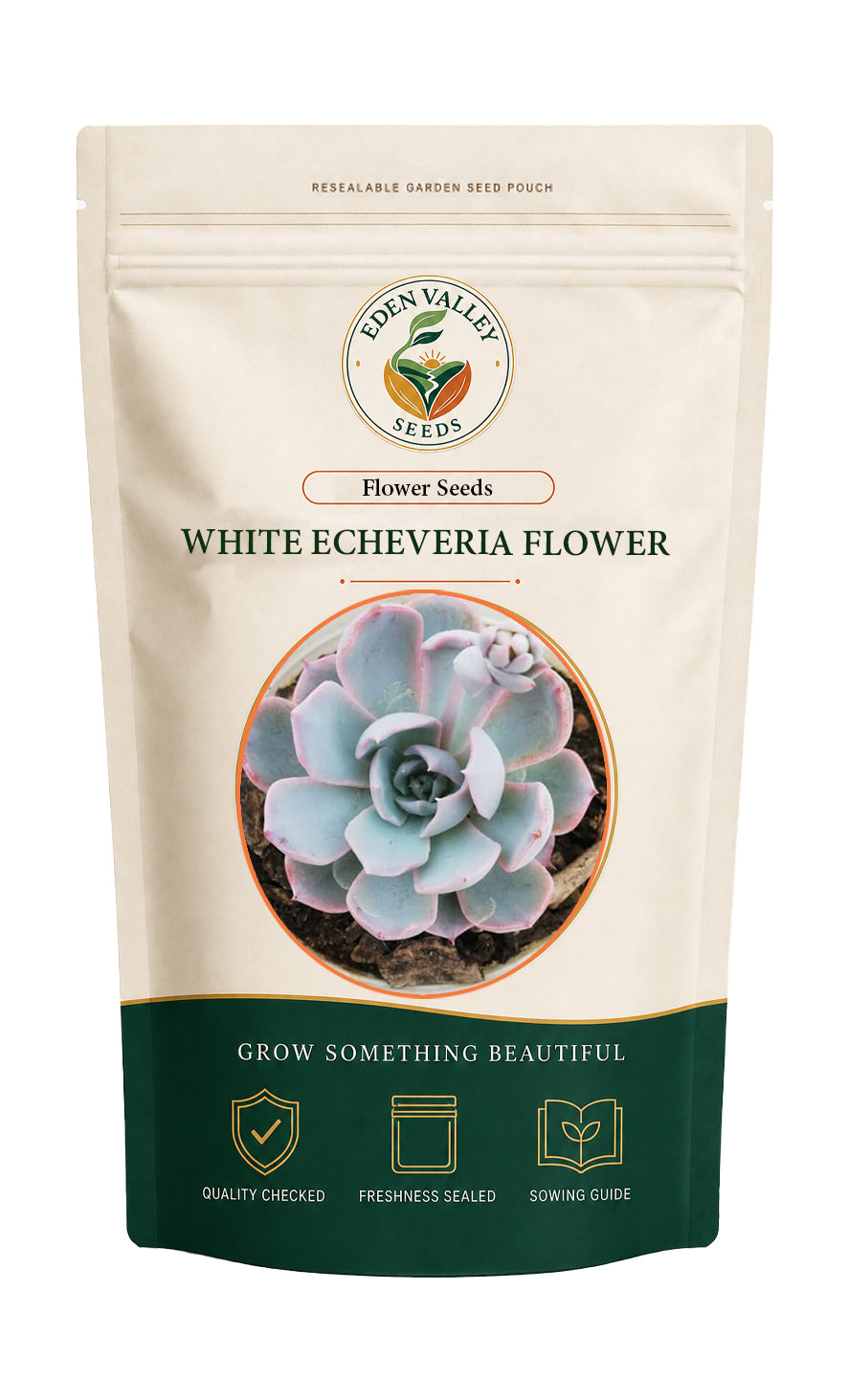 White Echeveria Cante flowers blooming in a garden