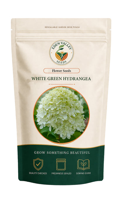 White Green Hydrangea Flower Seeds for planting