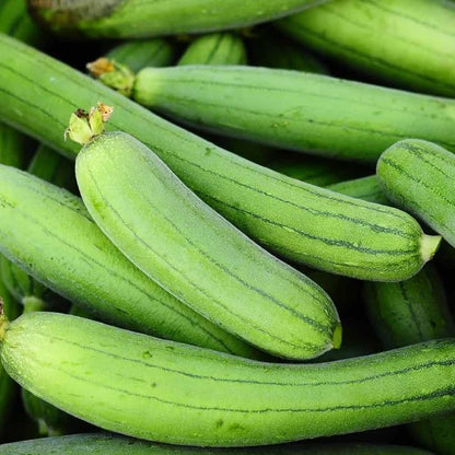 White Luffa Seeds