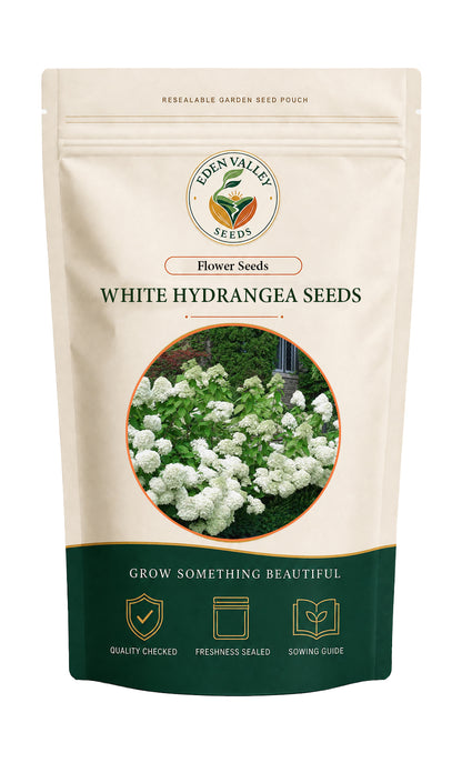 White Hydrangea Seeds for growing beautiful ornamental flowers in home gardens