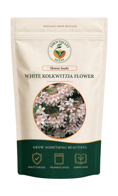 White Kolkwitzia flowering shrub in a garden