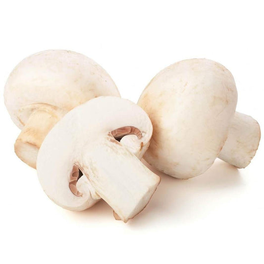 White Mushroom Seeds