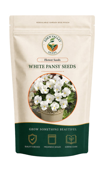 White Pansy Seeds Non-GMO for planting ornamental flowers in home gardens