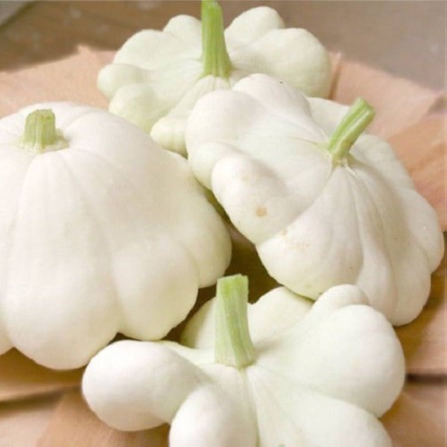 White Patisson Squash Seeds