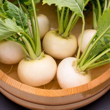 White Rutabaga Seeds for Planting – Heirloom Garden Vegetable Seeds