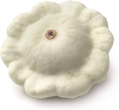 White Patisson Squash Seeds for Planting – Heirloom Non-GMO Garden Seeds