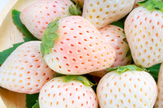 White Soul Strawberry Fruit Seeds for Planting – Heirloom Non-GMO Garden Seeds