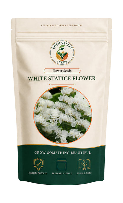 White Statice flowers blooming in a garden