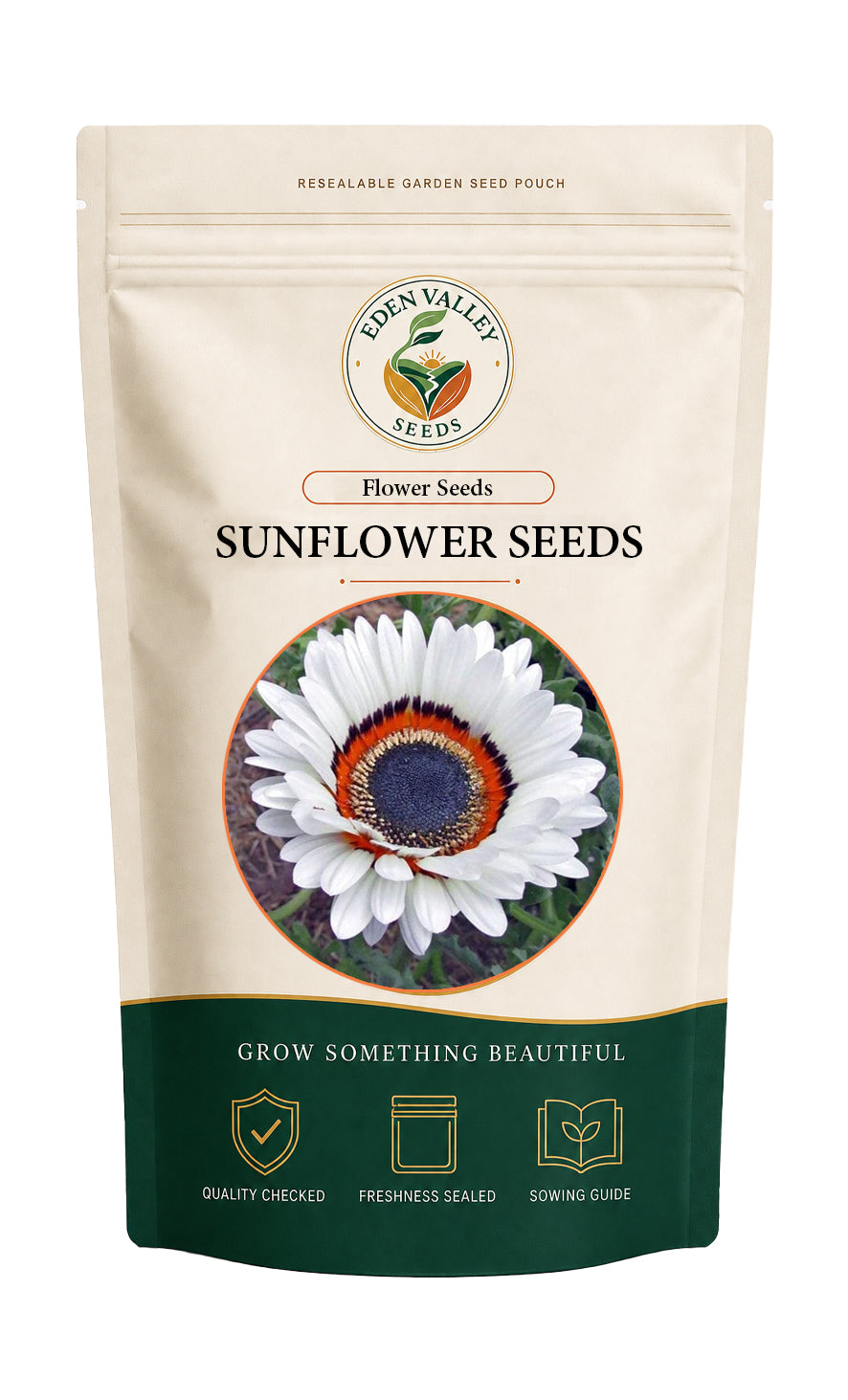 White Sunflower Seeds Non-GMO for planting attractive white garden flowers at home