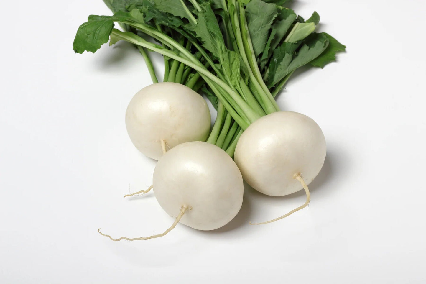 White Turnip Seeds for Planting with mature white turnip roots and green leaves