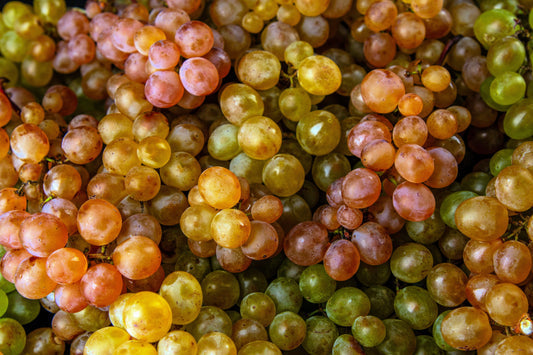 wine grape seeds