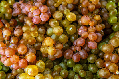 wine grape seeds