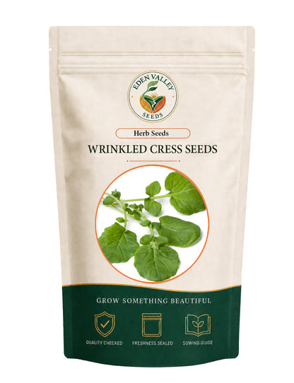Wrinkled Cress Seeds for Planting with fresh green leafy growth