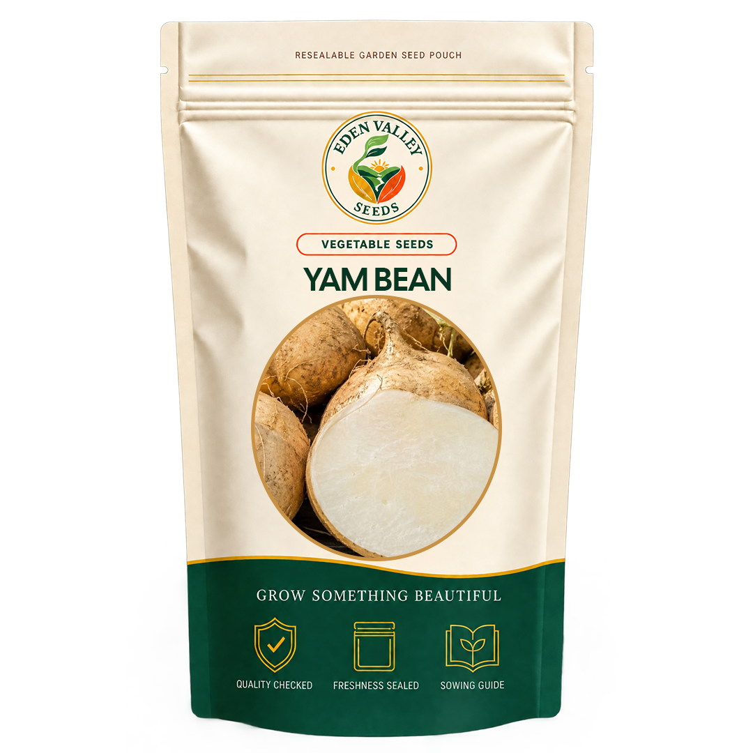 Yam Bean plants growing in a vegetable garden