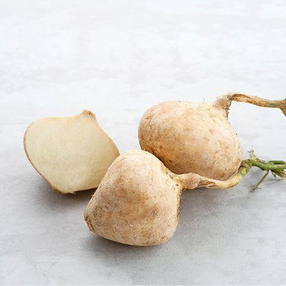 Yam Bean Vegetable Seeds for Planting – Jicama Root Vegetable Seeds for Home Gardens