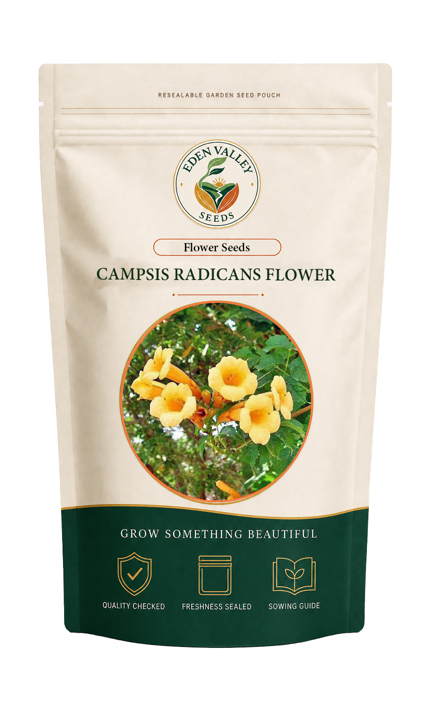 Yellow Campsis Radicans Flower Seeds for planting