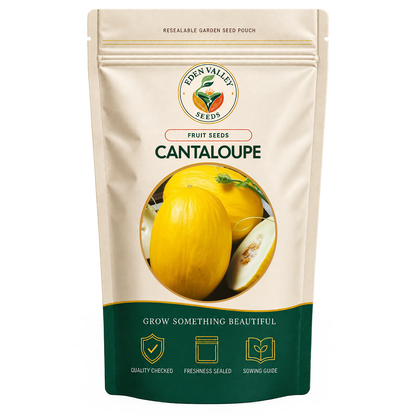 Yellow Cantaloupe Seeds for planting
