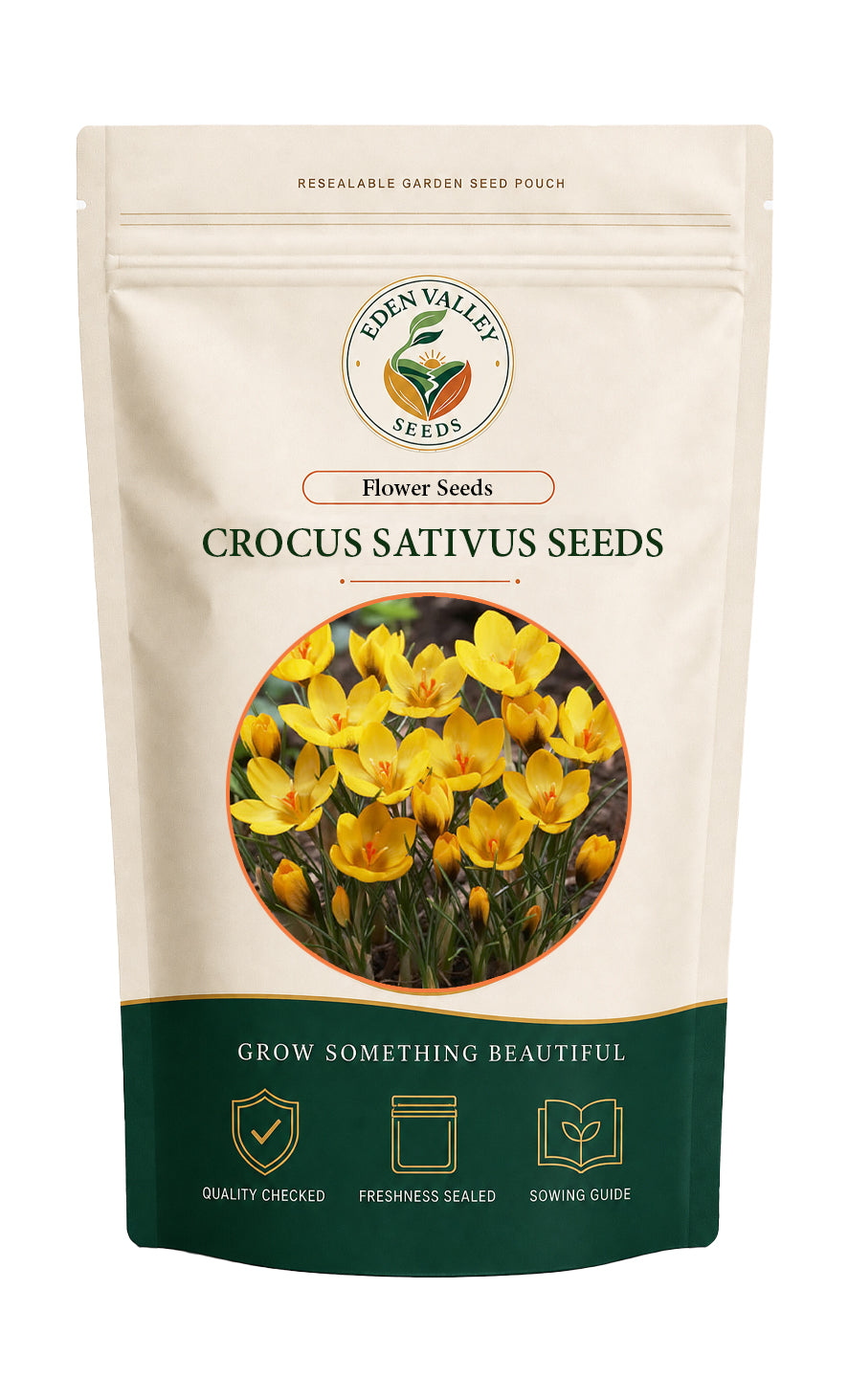 Yellow Crocus Sativus Flower Seeds with delicate yellow blooms and green foliage