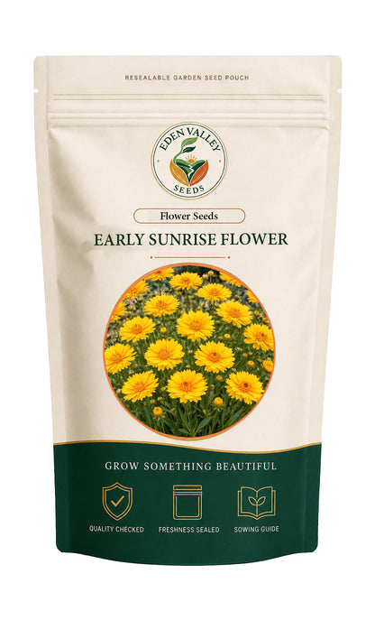 Yellow Early Sunrise plant with bright yellow flowers