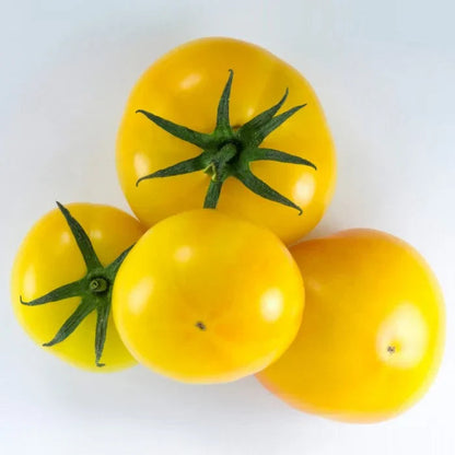Yellow Green Tomato Seeds