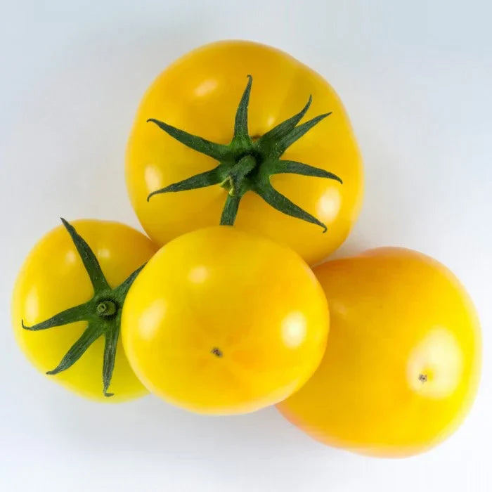Yellow Green Tomato Seeds