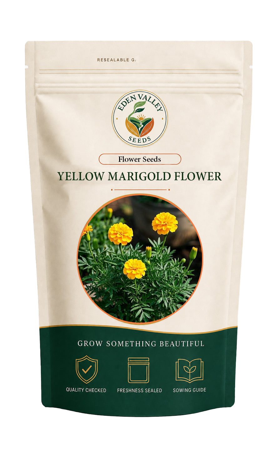 Yellow Marigold Flower for home gardens