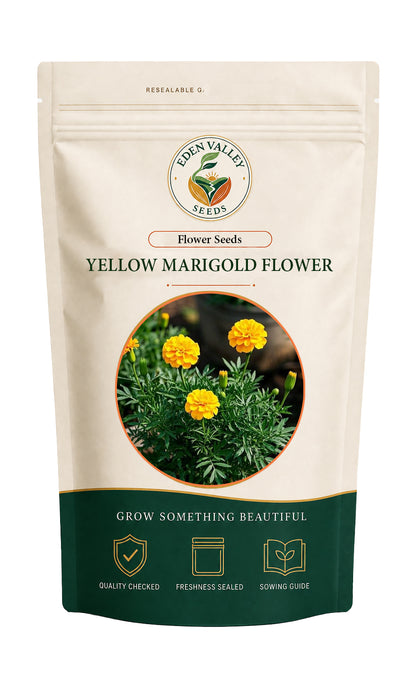 Yellow Marigold Flower for home gardens