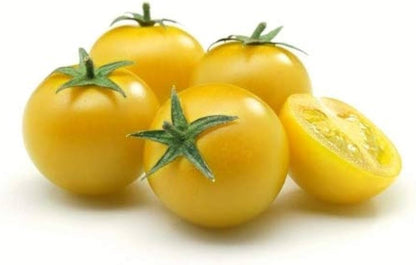 Yellow Pork Chop Tomato Seeds for Planting – Heirloom Non-GMO Garden Seeds