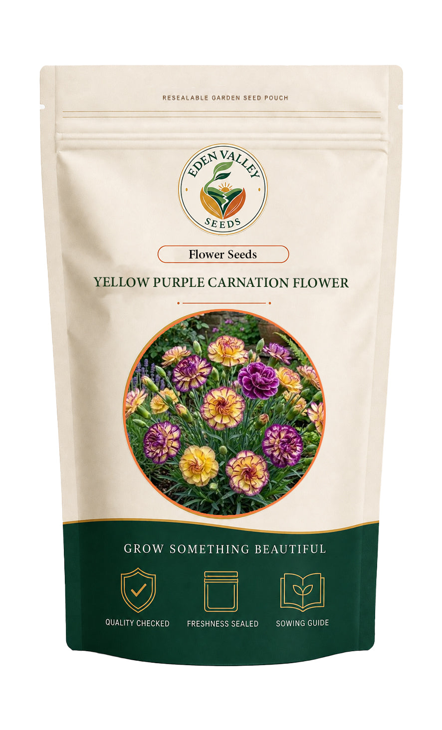 Yellow Purple Carnation flowers blooming in a garden