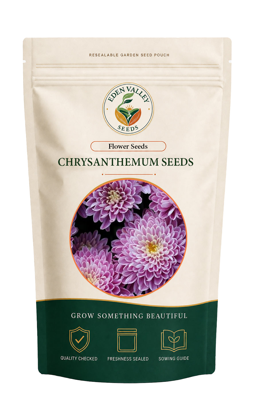Yellow Purple Chrysanthemum Flower Seeds for Planting with yellow and purple blooms