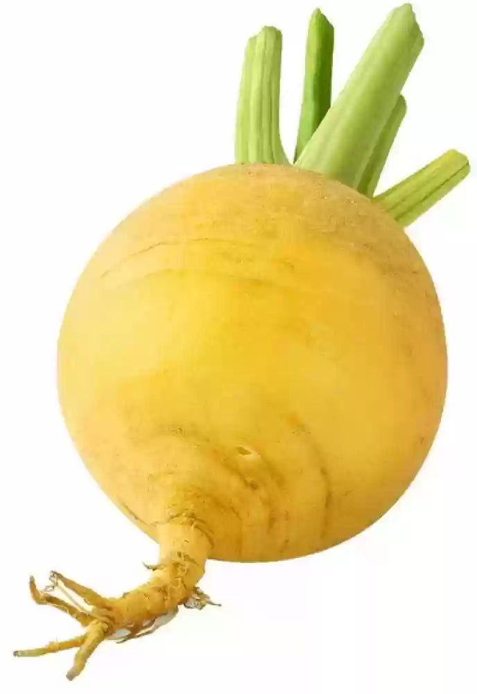 Yellow Radish Seeds for Planting – Heirloom Non-GMO Garden Seeds