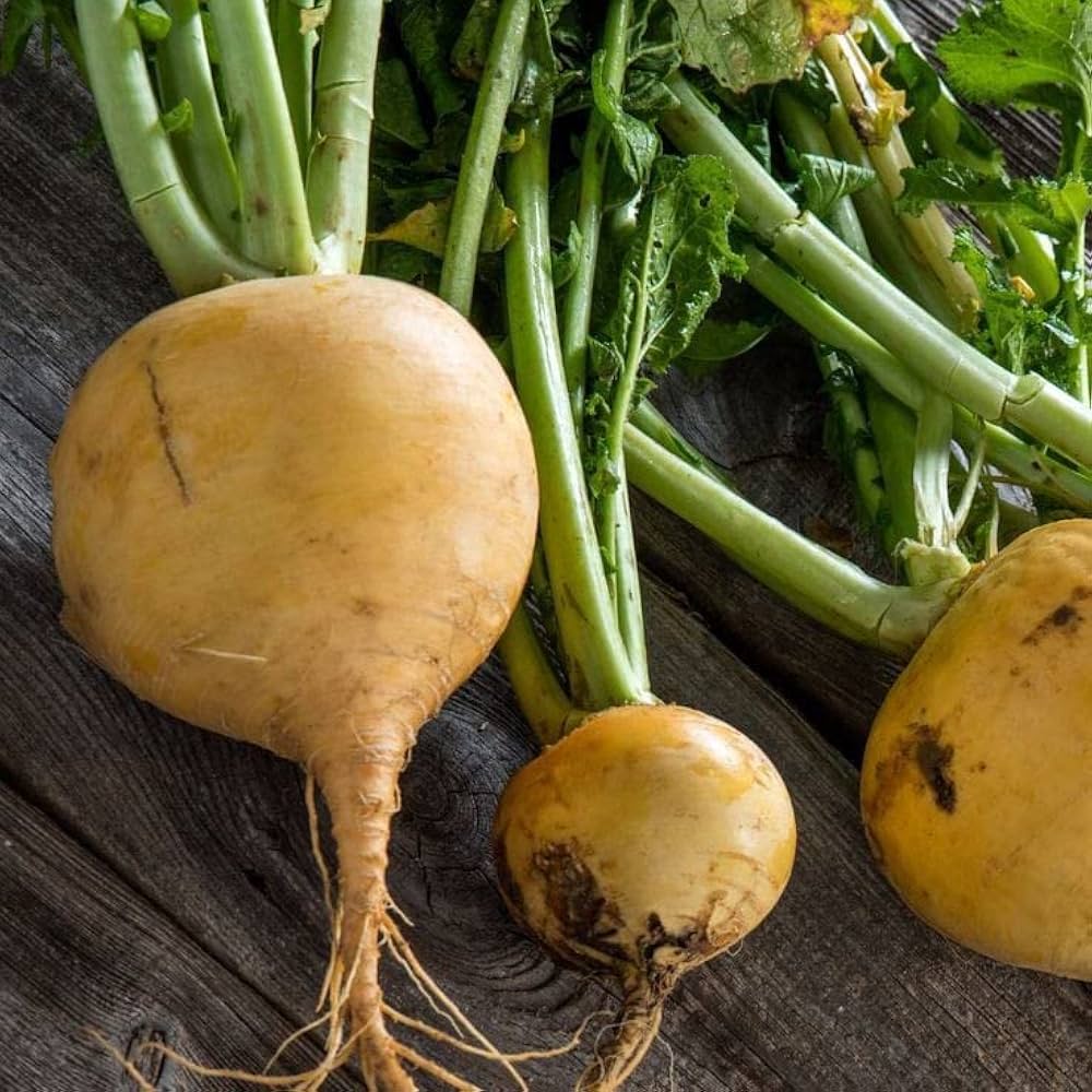 Yellow Rutabaga Seeds for Planting – Heirloom Non-GMO Garden Seeds