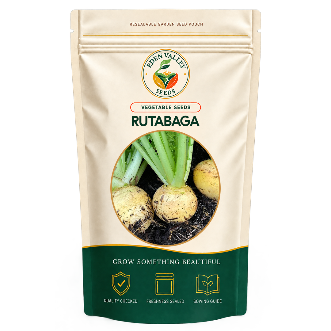 Yellow Rutabaga Vegetable Seeds for home gardens