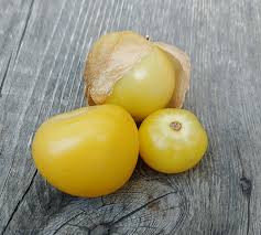 Fresh Yellow Tomatillos for Homemade