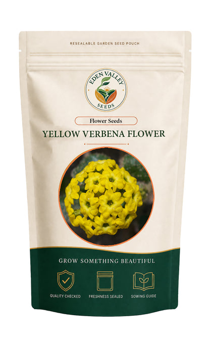 Yellow Verbena flowers blooming in a garden