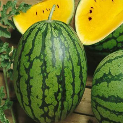 yellow watermelon seeds
