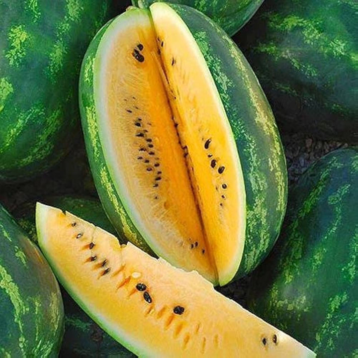 Yellow watermelon seeds