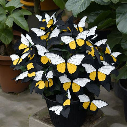 Moonlight Butterfly Begonia ornamental plant featuring decorative foliage and yellow, white, and black tones, suitable for indoor displays and shaded garden spaces.