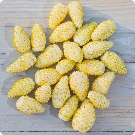 yellow wonder strawberry seeds