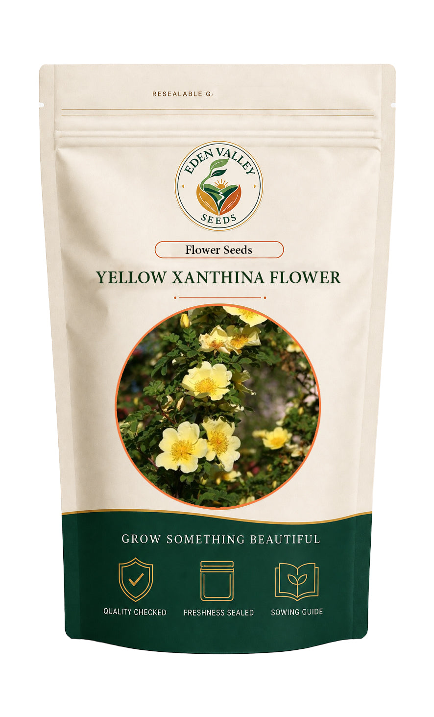Yellow Xanthina Flower Seeds for home gardens