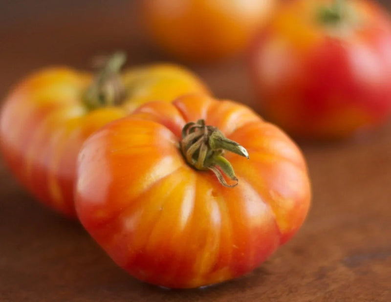 Big Orange Tomato Seeds for Planting – Heirloom Non-GMO Garden Seeds
