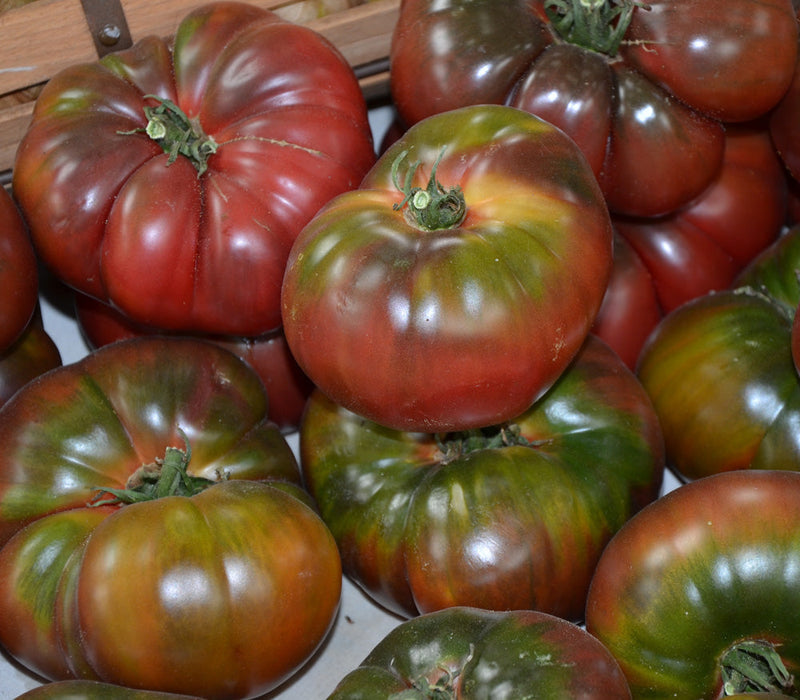 Brown Tomato Seeds for Planting – Heirloom Non-GMO Garden Seeds