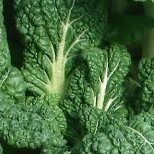 Yukina Savoy Mustard Greens