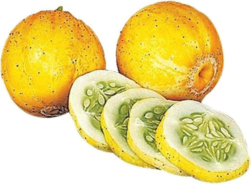 Lemon Cucumber Seeds for Planting – Heirloom Non-GMO Garden Seeds